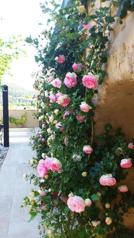 Le Jour Et La Nuit, Bed & Breakfast Vaison-la-Romaine